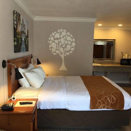 Journey Inn Woodland Extérieur photo