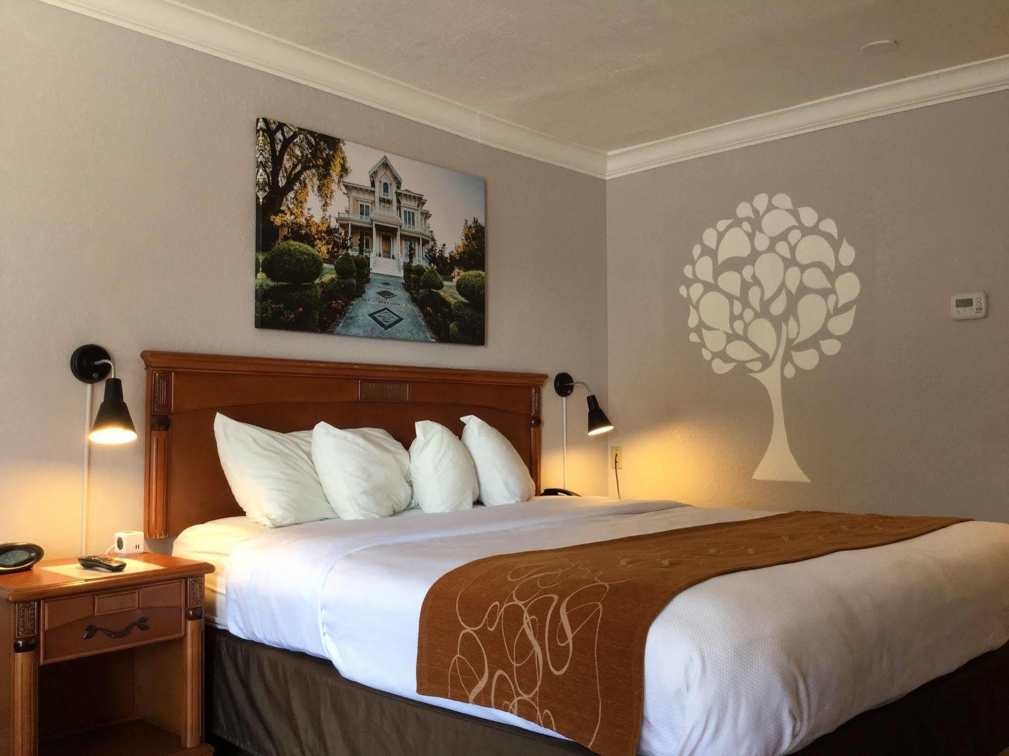 Journey Inn Woodland Extérieur photo