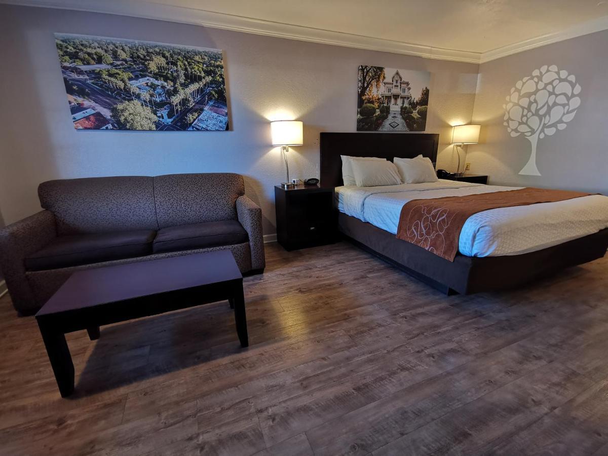 Journey Inn Woodland Extérieur photo